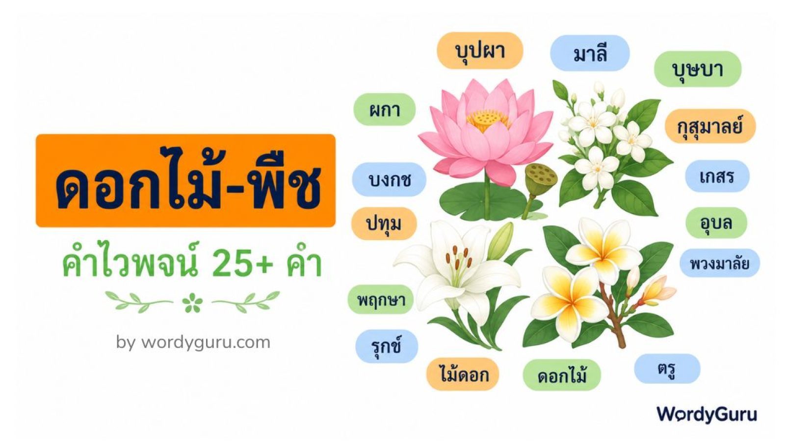 คำไวพจน์หมวด ดอกไม้-พืช ครบทุกคำ พร้อมความหมาย