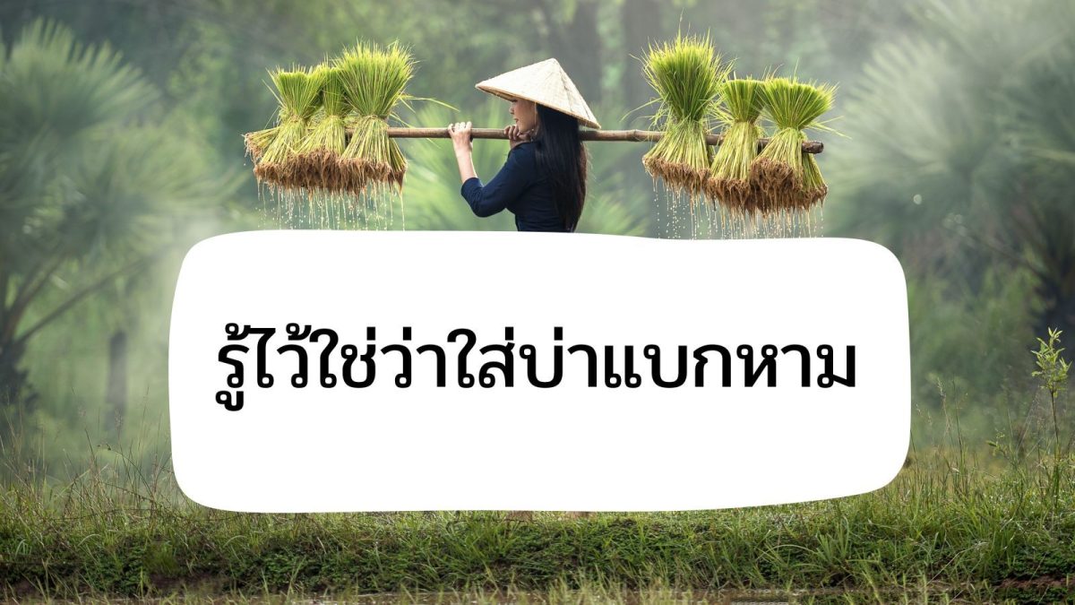 สำนวน "รู้ไว้ใช่ว่าใส่บ่าแบกหาม" หมายถึง เรียนรู้ไว้ไม่หนักเรี่ยวหนักแรงหรือเสียหายอะไร