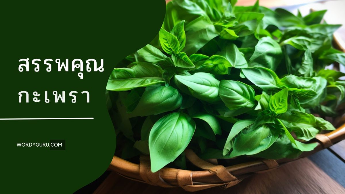 หลังจากได้กล่าวถึงกะเพราหลายบทความมาแล้ว บทความนี้เราก็จะมาพูดถึงสรรพคุณของกะเพราที่มีมากกว่าการนำมาประกอบอาหาร เพื่อให้ท่านผู้อ่านได้ทราบถึงข้อดีของพืชผักสมุนไพรไทย มาดูกันว่ากะเพรานั้นมีดีอย่างไรบ้าง