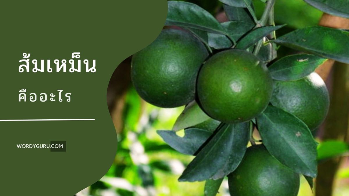 ในตำรับโบราณ มีการใช้รสเปรี้ยวที่หลากหลาย และส้มเหม็นก็เป็นหนึ่งในวัตถุดิบของการทำอาหารที่มีรสเปรี้ยว