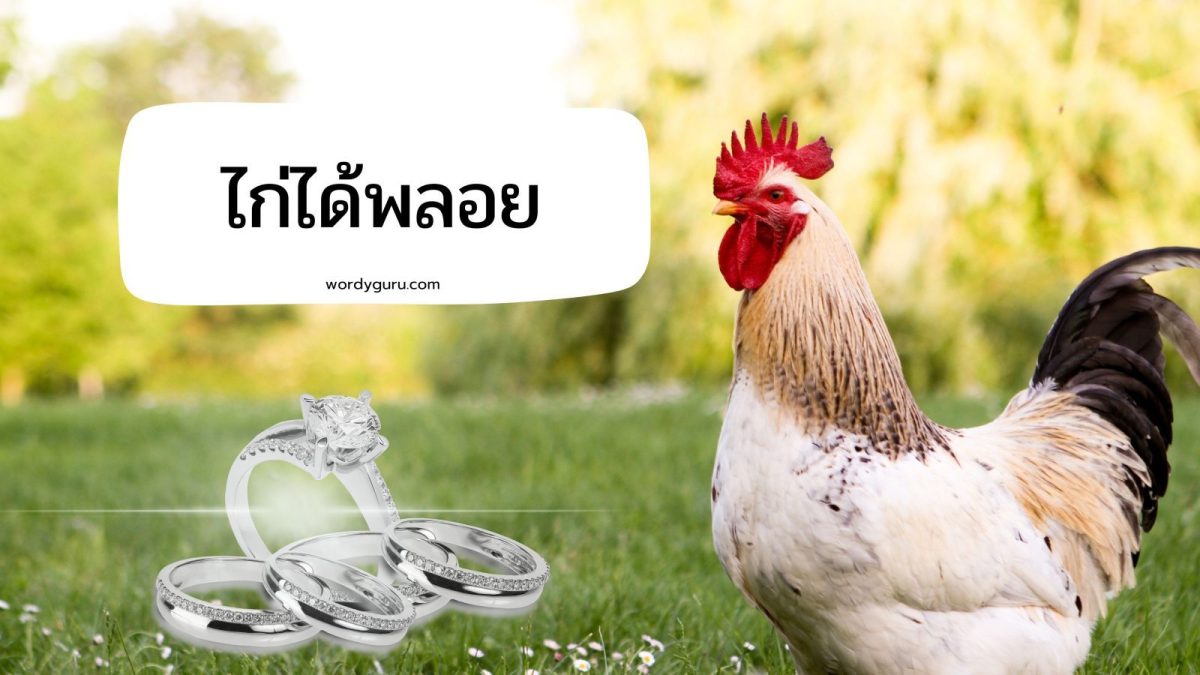 ไก่ได้พลอย หมายถึง การที่ได้ของมีค่ามาแต่ไม้รู้คุณค่าของสิ่งนั้น