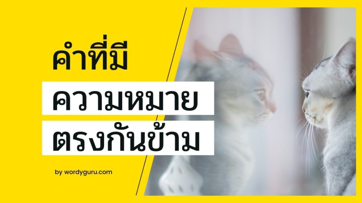 เราได้หยิบยกคำที่มีความหมายตรงกันข้ามมาให้ผู้อ่านทุกท่านได้ศึกษาเพิ่มเติม อาจจะดูเหมือนเป็นเรื่องที่ง่ายใคร ๆ ก็รู้แต่บางคำบางคู่ก็อาจมีคนหลงลืมจำผิดจำถูก