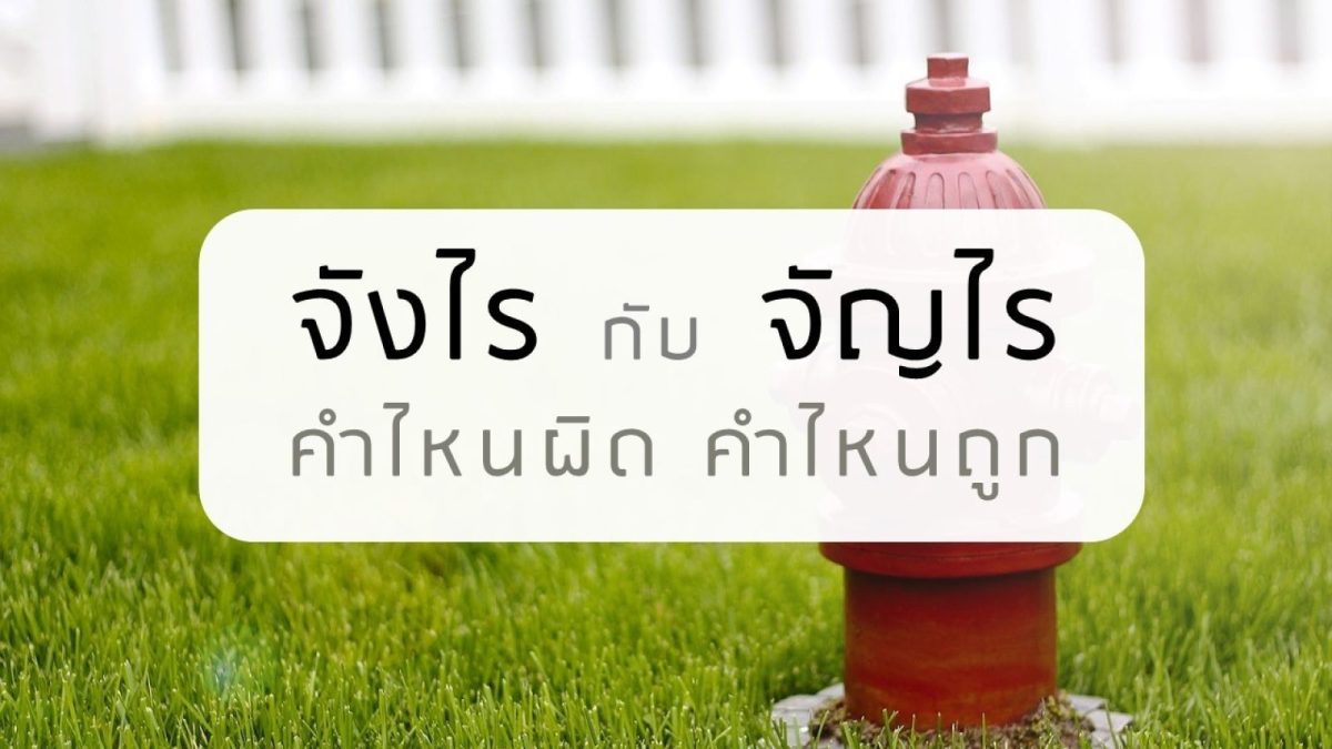 เมื่อวานเกิดเหตุการณ์โต้เถียงกันขึ้นในระหว่างการทำงาน เพราะมีน้องคนหนึ่งเล่าเรื่องสัปดลขึ้นมา ความบันเทิงเลยเกิดขึ้น ด้วยแต่ละคนต่างด่าว่า "จังไรจังเลย" แต่มีเสียงจากพี่คนนึงว่า "จัญไร" เลยโต้เถียงกันต่อว่าตกลง จังไร หรือ จัญไร เป็นคำที่ถูกต้อง