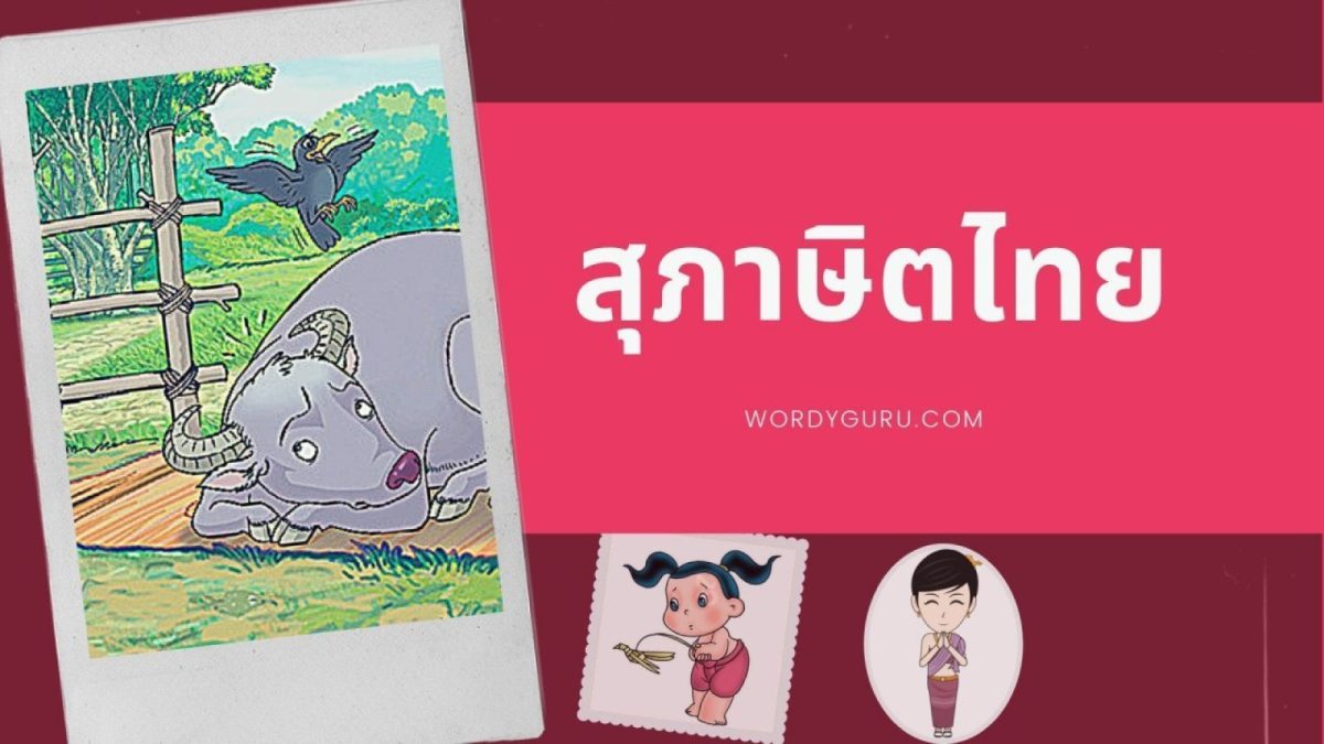 สุภาษิต หมายถึง คำกล่าวที่ดีงาม มักเป็นคำสั่งสอน แนะนำให้ประพฤติดี ปฏิบัติชอบ หรือละเว้นจากการทำความชั่ว เป็นต้น ดังนั้น สรุปได้ว่า สุภาษิตไทย คือ คำที่มุ่งสั่งสอนให้ ประพฤติปฏิบัติดี โดยเป็นเพียง คำสั้นๆ มีความคมคาย ไพเราะ น่าฟัง จำง่าย